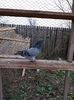 received_149146015844840