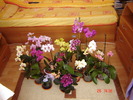 DSC00991