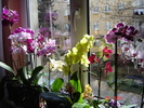 DSC01011