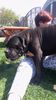 IMG-20170413-WA0001