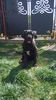 IMG-20170413-WA0006