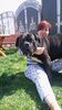 IMG-20170413-WA0009
