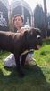 IMG-20170413-WA0017