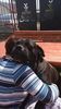 IMG-20170413-WA0023