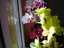DSC01028