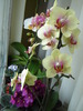 DSC01080