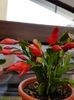 thumbnail (42)