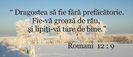 versete-romani-12-9_69bb5f9f2e2d1b