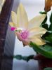 thumbnail (26)
