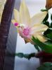 thumbnail (28)