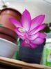 thumbnail (35)
