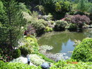DSC02164