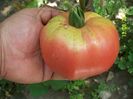 MAGIE ROZ (35)