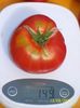 RUSSIAN BEEFSTEAK RED (31)
