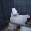 SAM_5674