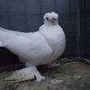 SAM_5681