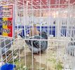 20171209_132915 (2)