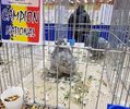 20171209_133033 (2)