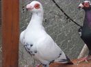 SAM_5771