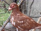 SAM_5821
