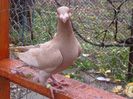SAM_5845