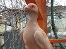 SAM_5846