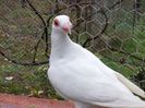 SAM_5855