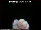 funny-picture-goodbye-cruel-world