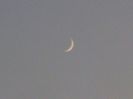 Luna noua in Varsator