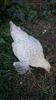 received_2101201336775953