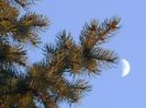 Luna in crestere in Pesti