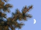 Luna in crestere in Pesti