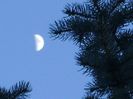 Primul patrar - Luna in Berbec
