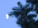 Primul patrar - Luna in Berbec