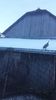 20171225_153530(0)