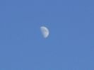 Luna in crestere - in Berbec