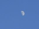 Luna in crestere - in Berbec