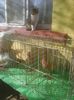Photo0976