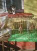 Photo0977