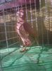 Photo0979