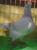 Photo0962