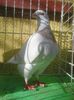 Photo0958