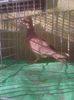 Photo0989