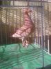 Photo0991
