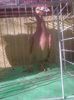 Photo0987