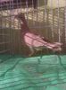 Photo0988