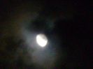 Luna in crestere - in Taur