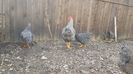20171227_130826(0)