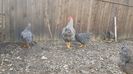 20171227_130826(0)