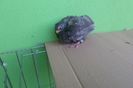 SAM_9491